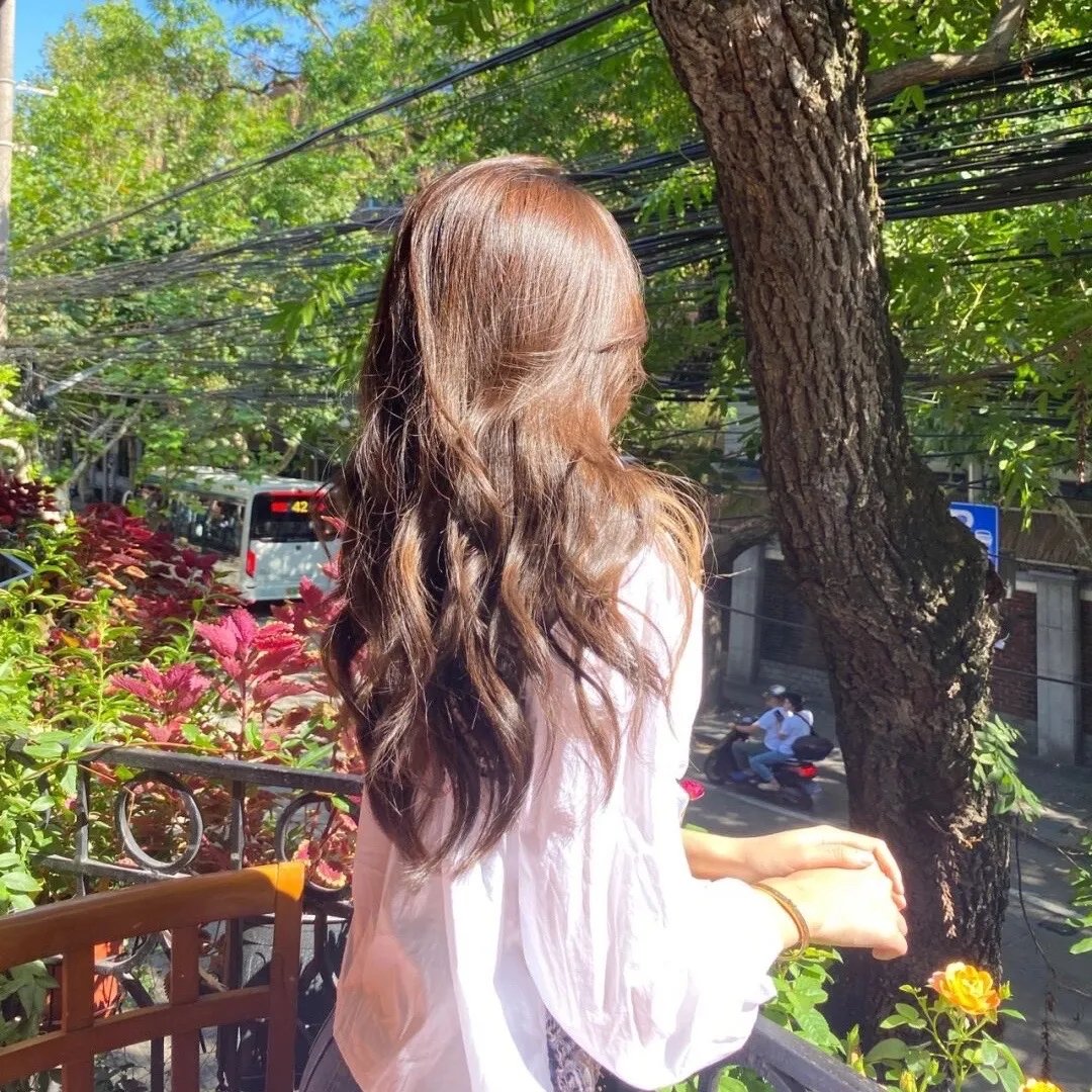 大小姐的上门女婿